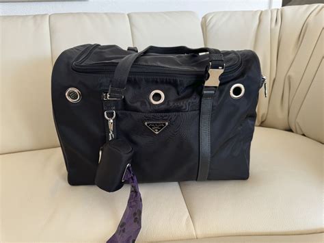 prada hundetasche